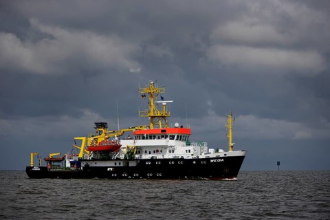 Wega container ship