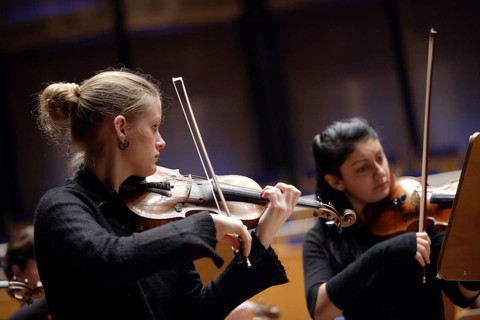 Violinists playing in an orchestra
