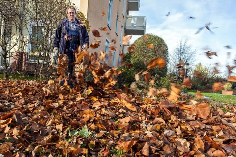 Janitor with leaf blower blowing up leaves in a residential area