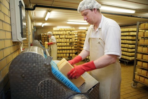Dairy expert in the aging cellar of the Sarzbuttel fine cheese dairy
