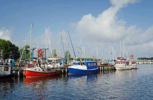 Fishing boats in the harbour