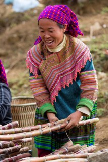 Woman in traditional dress with sugar cane
