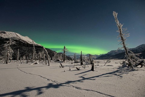 Aurora borealis