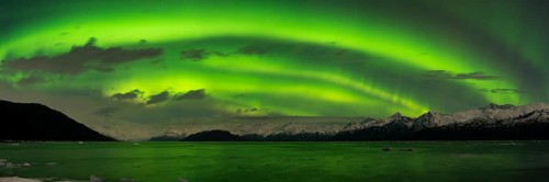 Aurora borealis over College Fjord