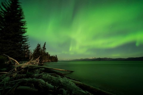 Aurora borealis and moonlight over Prince William Sound