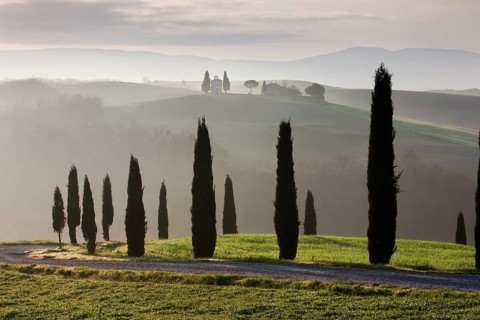 Cypresses in front of the Cappella della Madonna di Vitaleta