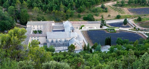 View of Cistercian abbey Abbaye Notre-Dame de Senanque with lavender field