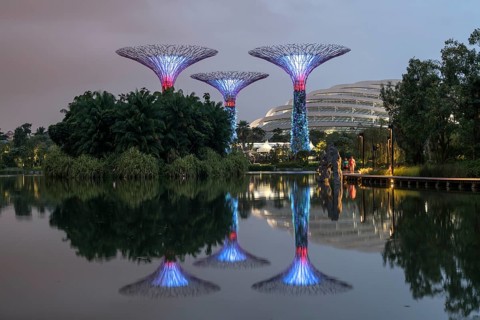 Super Trees