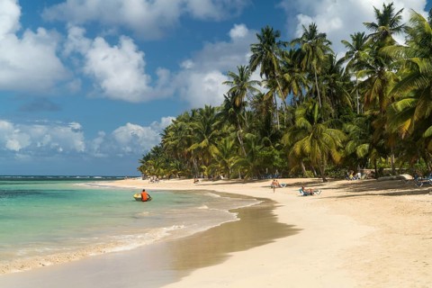 Sandy beach with palm trees in Las Terrenas