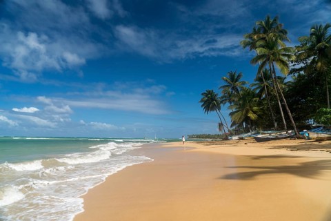 Sandy beach with palm trees in Las Terrenas