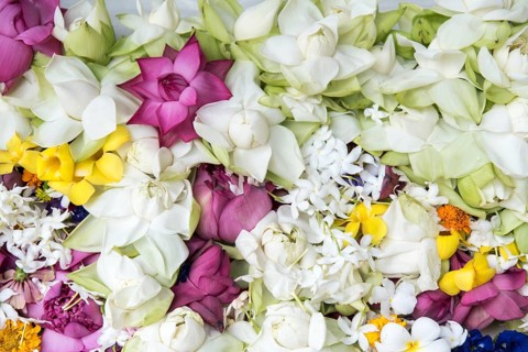 Flower offerings at Buddhist Mahiyangana Raja Maha Vihara Temple