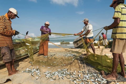 Fishermen at the Negombo fish market