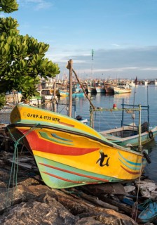 Fishing boat in the Harbour of Mirissa