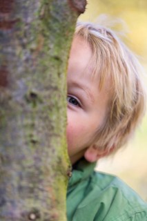 Boy behind tree