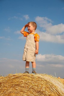 Little boy being on the lookut out on a straw bale
