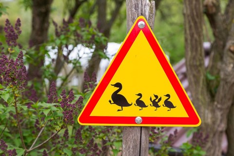 Road sign