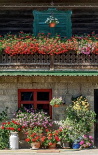 Old farmhouse
