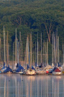 Sailboats