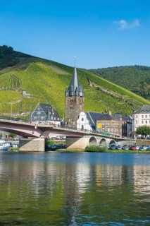 Townscape with the Moselle river