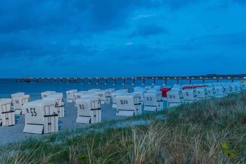 Beach chairs on the beach