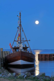 Fishing boat in harbor