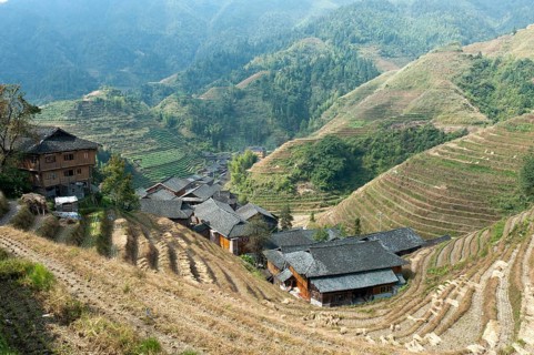Longsheng rice terraces