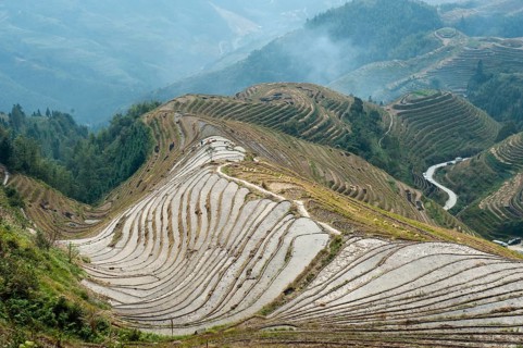 Longsheng rice terraces