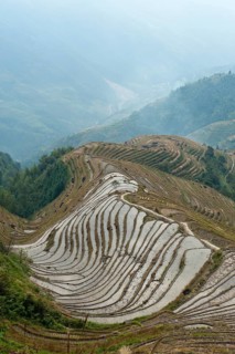 Longsheng rice terraces