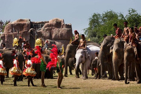 White elephant at the Elephant Festival