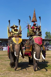 War elephants with soldiers