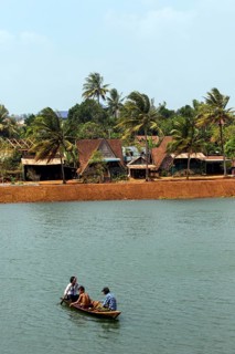 Traditional houses and palm trees