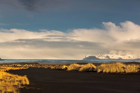Black lava sand with tufts of grass in front of the glacial tongue