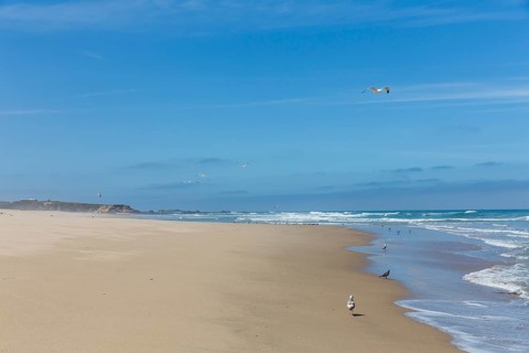 Sandy beach off Highway 1 or California State Route 1 at San Gregorio