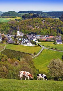 View of Dudinghausen district