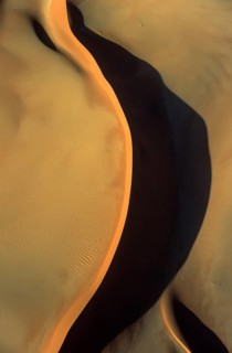 Sand dune in the Namib Desert