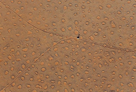 A vehicle of the balloon ground crew crosses a sandy plain with so-called Fairy Circles at the edge of the Namib Desert