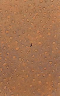 A vehicle of the balloon ground crew crosses a sandy plain with so-called Fairy Circles at the edge of the Namib Desert
