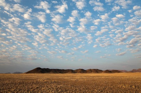 Arid plains