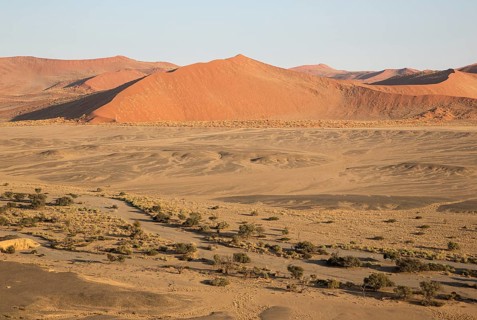 Arid plains and dry riverbed of the Tsauchab river at the edge of the Namib Desert
