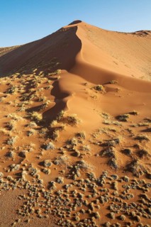 Grass-grown sand dune at the edge of the Namib Desert