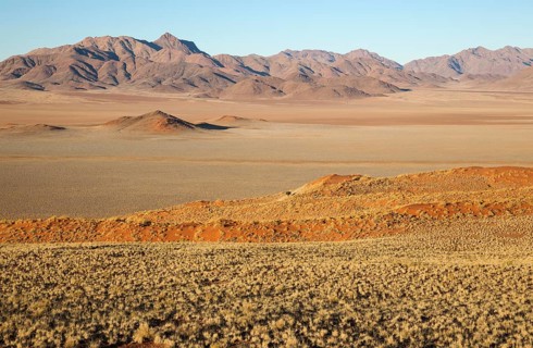Sand dunes covered with bushman grass