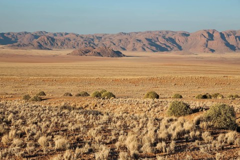Grass covered desert plain at the edge of the Namib Desert