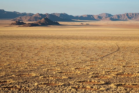 Grass covered desert plain at the edge of the Namib Desert