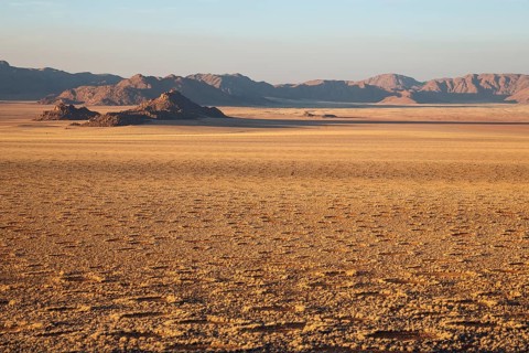 Grass covered desert plain at the edge of the Namib Desert