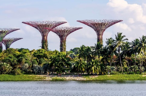 Supertrees