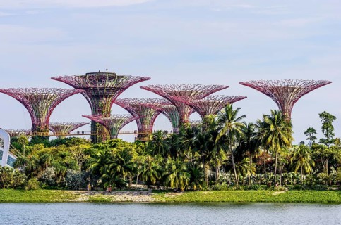 Supertrees