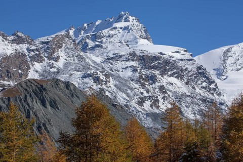 Findelntal in autumn with snowy Rimpfischhorn
