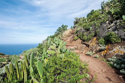 Hiking path in the Anaga Mountains