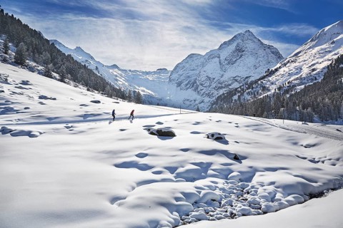 Cross-country skiers