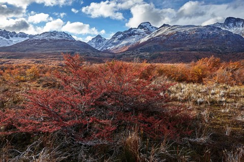 Mountains